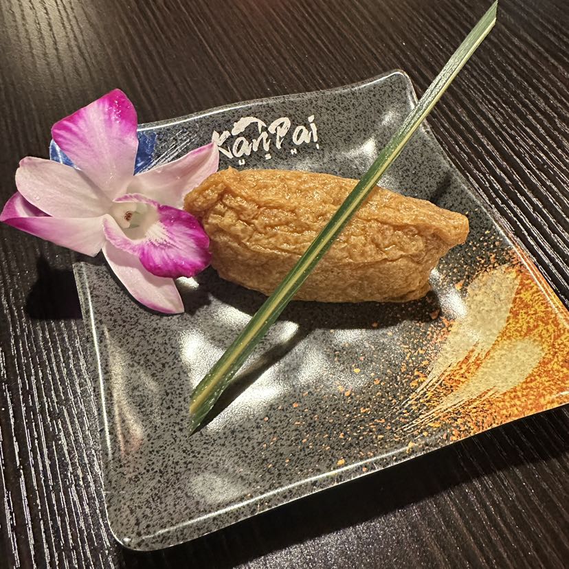 Tofu Skin